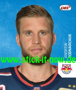 DEL - Deutsche Eishockey Liga 18/19 "Sticker" - Nr. 239